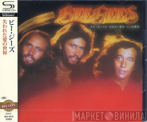 = Bee Gees  Bee Gees  - Spirits Having Flown = 失われた愛の世界