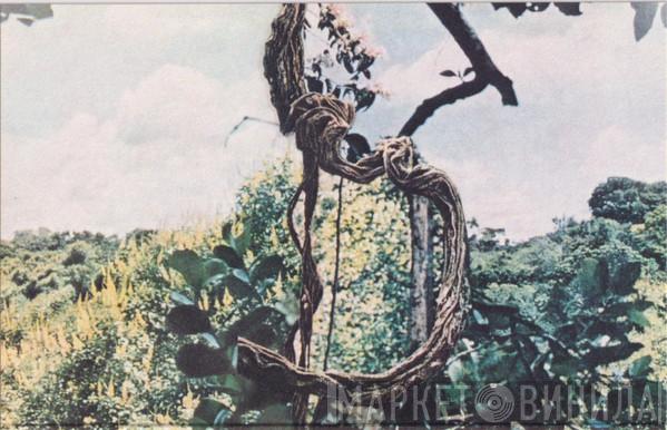 + Celer  Forest Management  - Landmarks