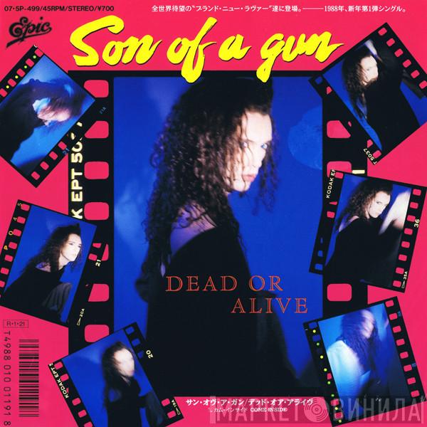 = Dead Or Alive  Dead Or Alive  - Son Of A Gun = サン・オヴ・ア・ガン