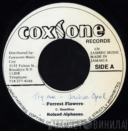 / Jackie Opel  The Soul Brothers  - Try Me / Gujara Ska