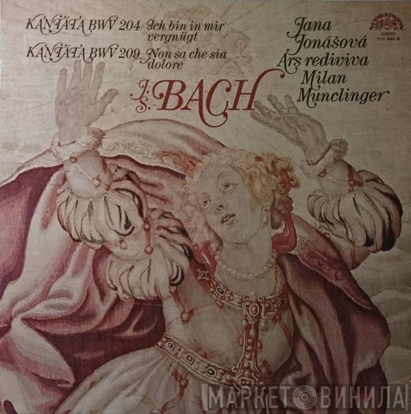 - Johann Sebastian Bach , Jana Jonášová , Ars Rediviva Ensemble  Milan Munclinger  - Kantáta BWV 204 Ich Bin In Mir Vergnügt / Kantáta BWV 209 Non Sa Che Sia Dolore