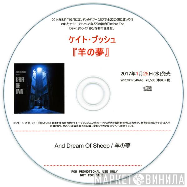= Kate Bush  Kate Bush  - 羊の夢 = And Dream Of Sheep