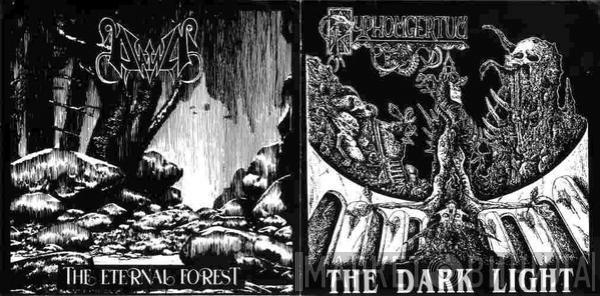 / Pyphomgertum  Dawn   - The Dark Light / The Eternal Forest