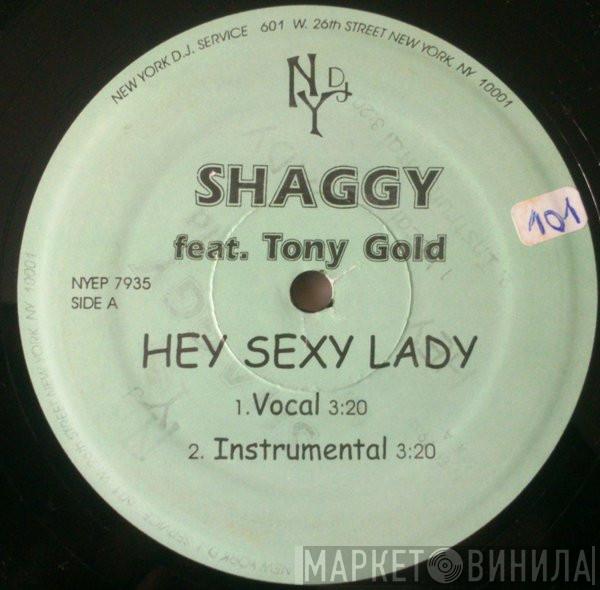, Shaggy  Dani Stevenson  - Hey Sexy Lady / Honk Your Horn