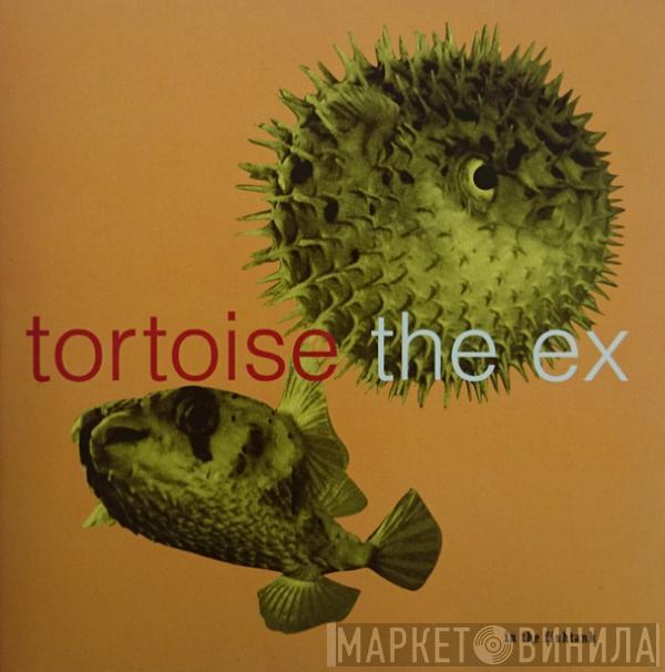 + Tortoise  The Ex  - In The Fishtank