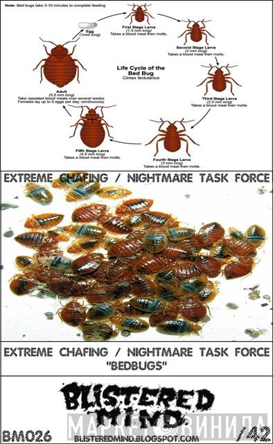 / Extreme Chafing  Nightmare Task Force  - Bedbugs