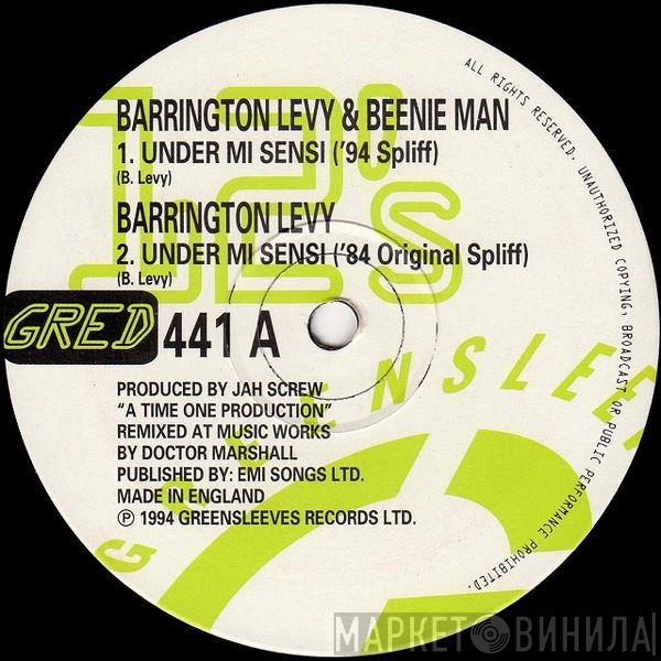 & Barrington Levy  Beenie Man  - Under Mi Sensi