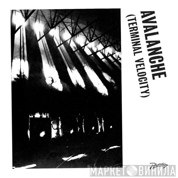 & Boys Noize Feat. Erol Alkan  Jarvis Cocker  - Avalanche (Terminal Velocity)