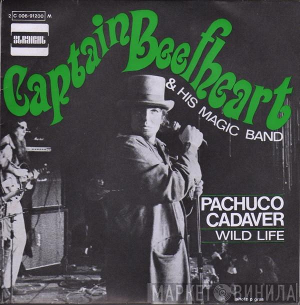 & Captain Beefheart  The Magic Band  - Pachuco Cadaver