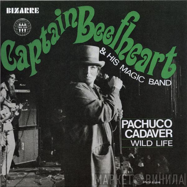 & Captain Beefheart  The Magic Band  - Pachuco Cadaver