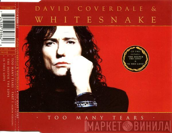 & David Coverdale  Whitesnake  - Too Many Tears