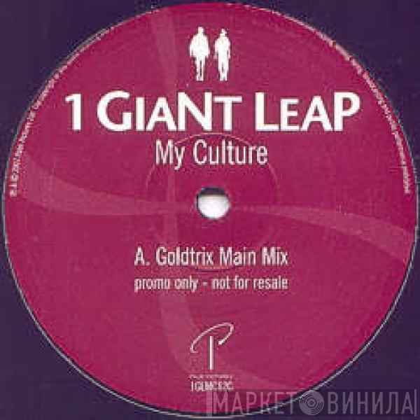 1 Giant Leap - My Culture