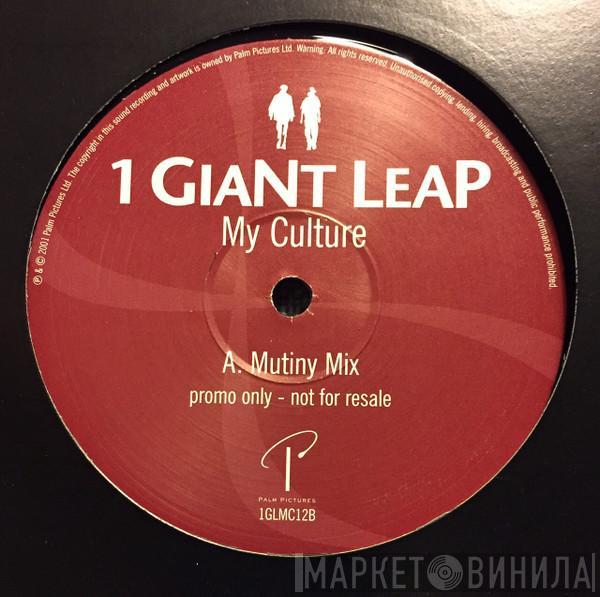 1 Giant Leap - My Culture