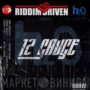  - 12 Gauge