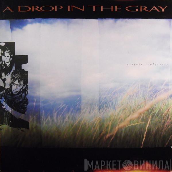A Drop In The Gray - Certain Sculptures