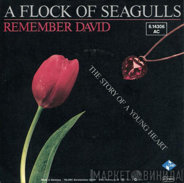 A Flock Of Seagulls  - Remember David