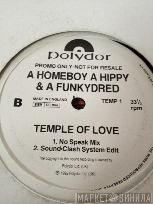 A Homeboy, A Hippie & A Funki Dredd - Temple Of Love