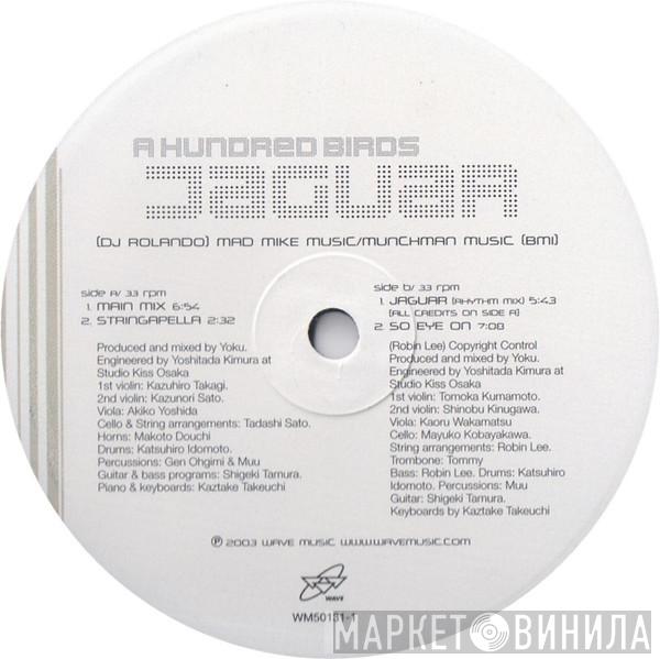 A Hundred Birds - Jaguar