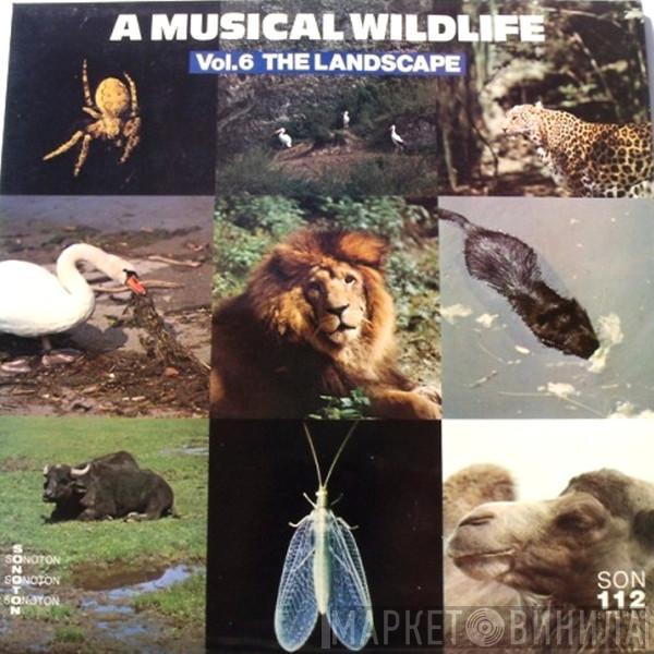  - A Musical Wildlife Vol.6 The Landscape