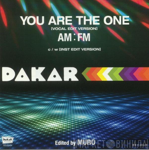  AM-FM  - You Are The One