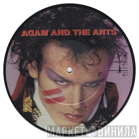 Adam And The Ants - Antrap