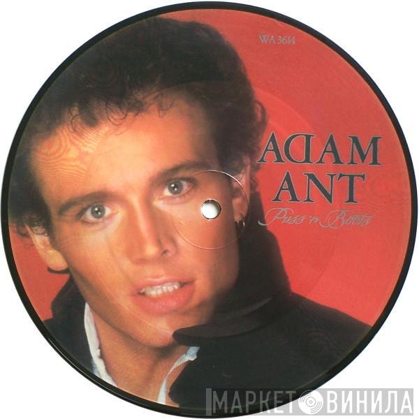 Adam Ant  - Puss'N Boots