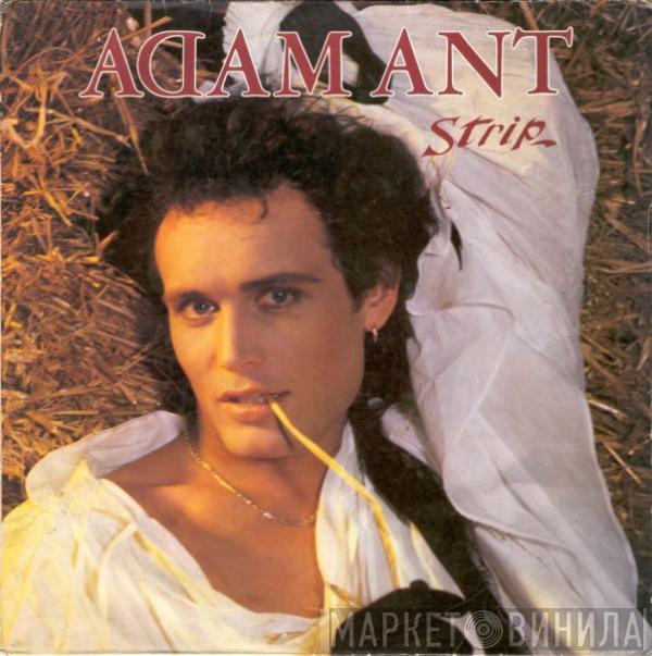 Adam Ant - Strip