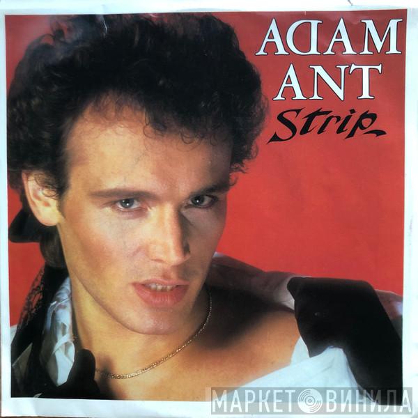  Adam Ant  - Strip