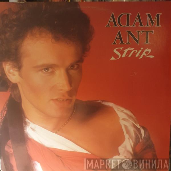  Adam Ant  - Strip