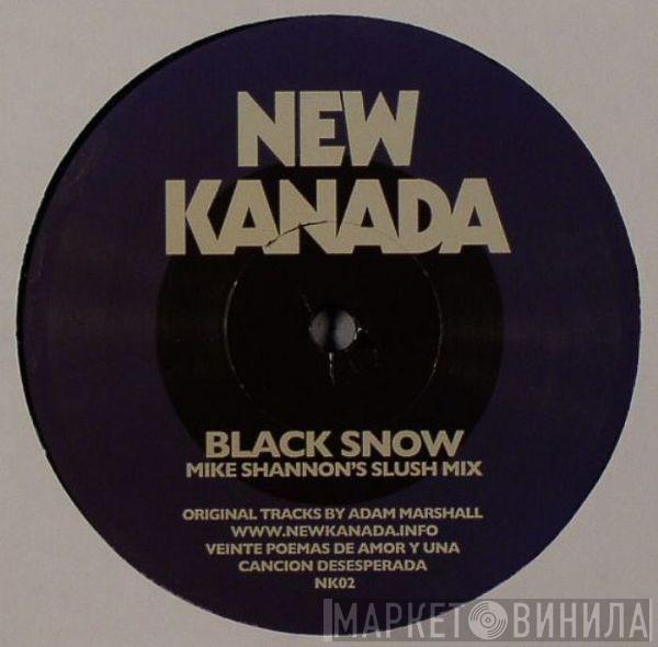 Adam Marshall - Black Snow (Remixes)