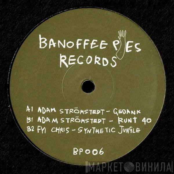 Adam Strömstedt, FYI Chris - Synthetic Jungle - BP006