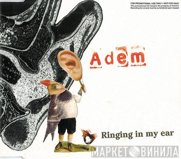 Adem  - Ringing In My Ear