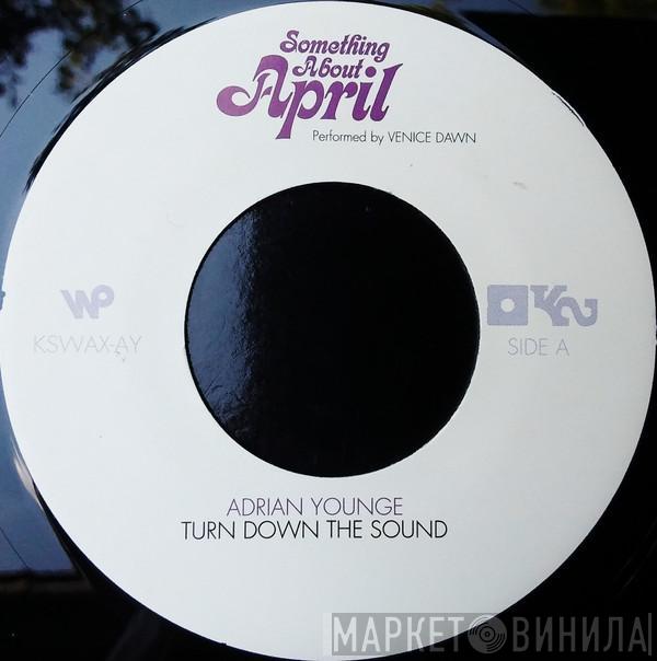 Adrian Younge, Venice Dawn - Turn Down The Sound / 1969 Organ