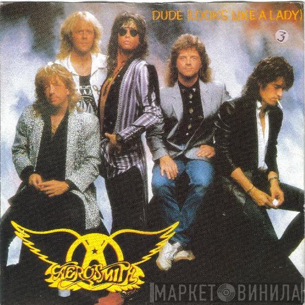 Aerosmith - Dude (Looks Like A Lady)