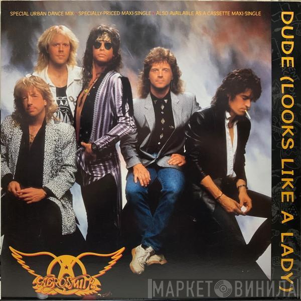  Aerosmith  - Dude (Looks Like A Lady)