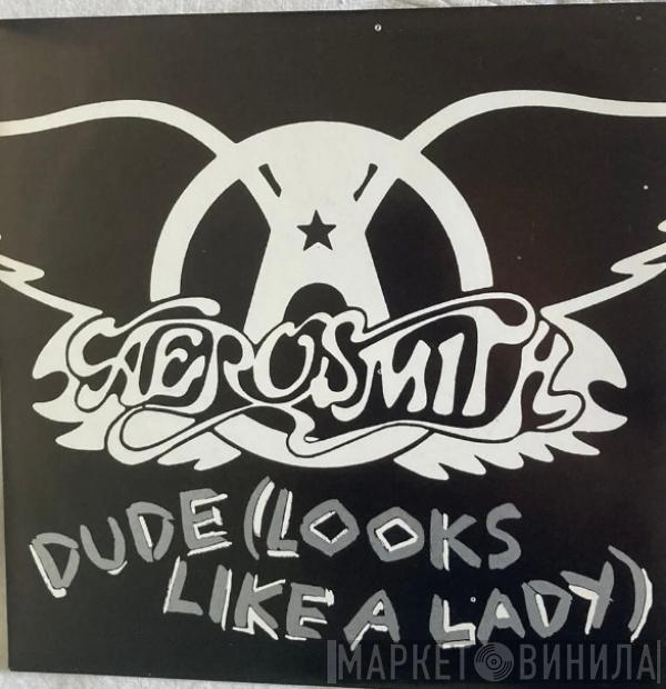 Aerosmith - Dude (Looks Like A Lady)