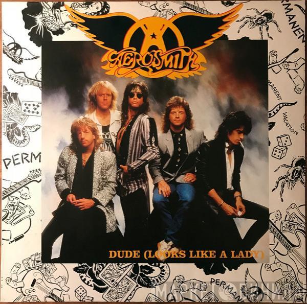  Aerosmith  - Dude (Looks Like A Lady)