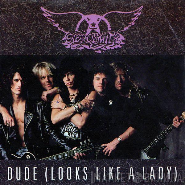 Aerosmith - Dude (Looks Like A Lady)