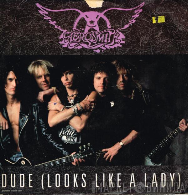 Aerosmith - Dude (Looks Like A Lady)