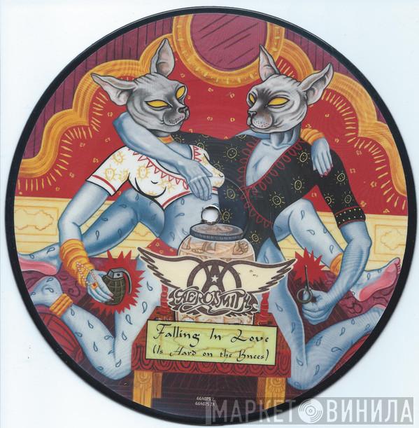  Aerosmith  - Falling In Love (Is Hard On The Knees)