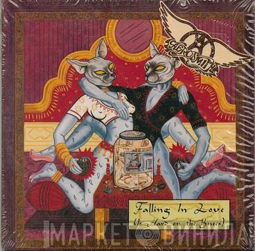  Aerosmith  - Falling In Love (Is Hard On The Knees)