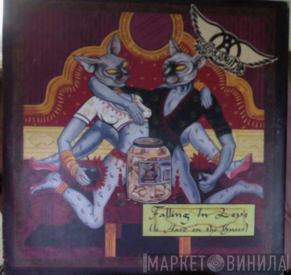  Aerosmith  - Falling In Love (Is Hard On The Knees)