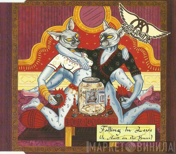  Aerosmith  - Falling In Love (Is Hard On The Knees)