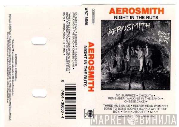  Aerosmith  - Night In The Ruts