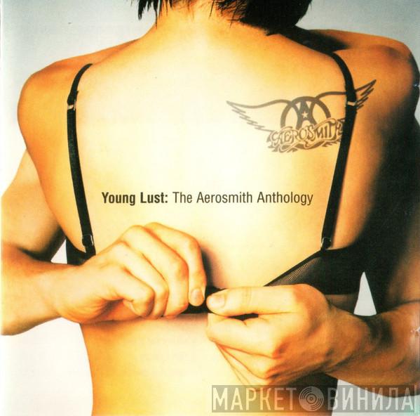  Aerosmith  - Young Lust: The Aerosmith Anthology