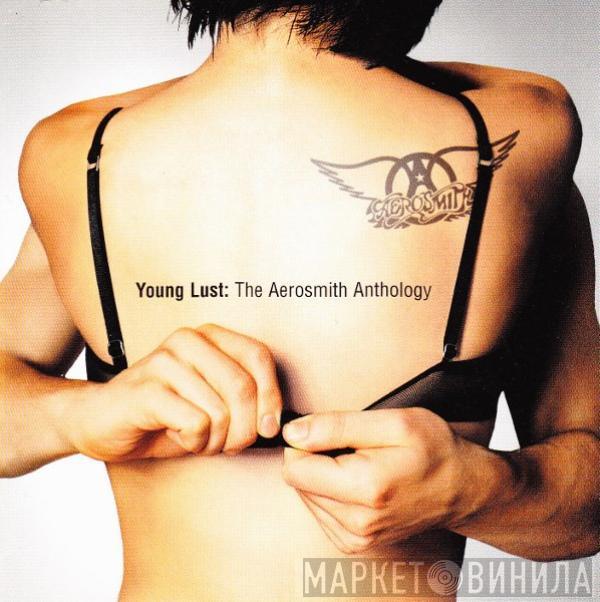 Aerosmith  - Young Lust: The Aerosmith Anthology