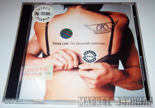 Aerosmith  - Young Lust: The Aerosmith Anthology
