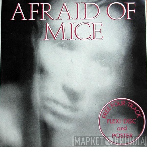 Afraid Of Mice - Medley : Popstar, Bad News, Taking It Easy, Important Man