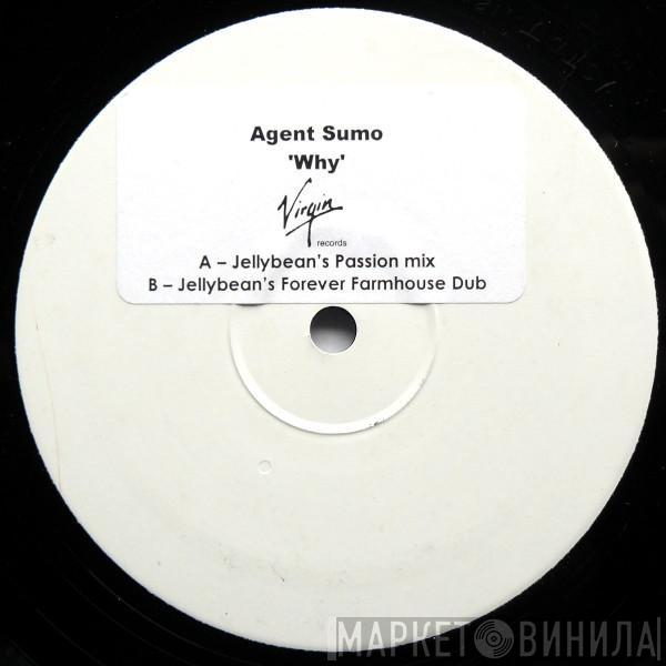  Agent Sumo  - Why