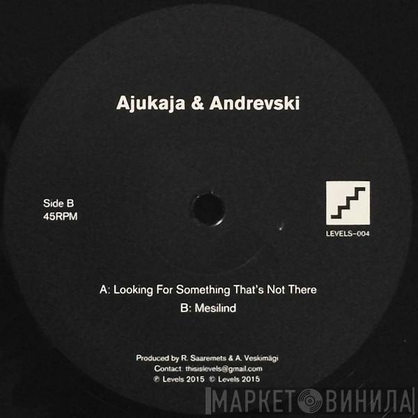 Ajukaja, Andrevski - Looking For Something That's Not There